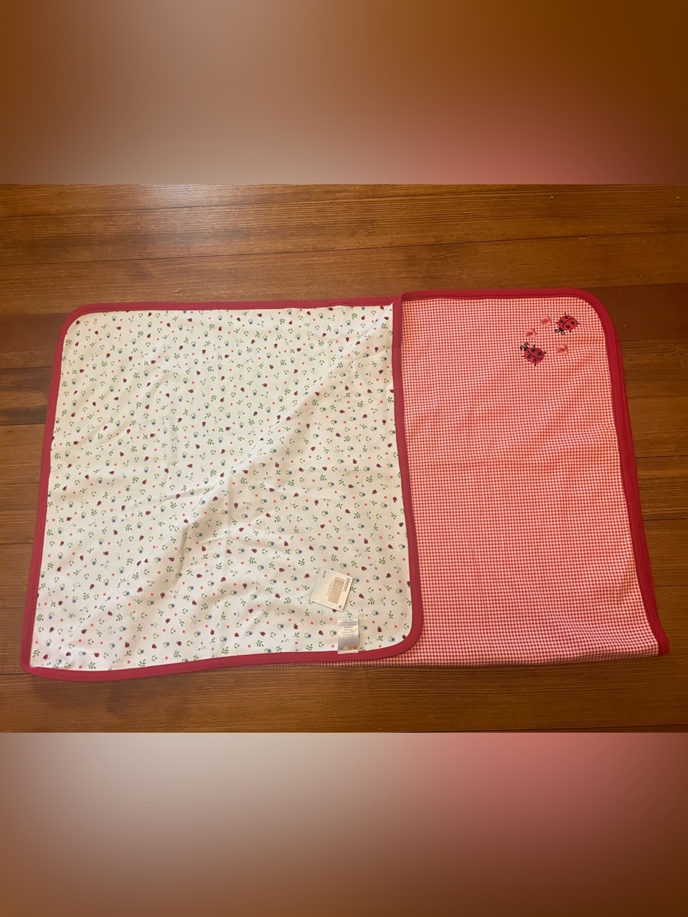 NWT Vintage Gymboree Gingham Plaid Ladybug Country Picnic 2001 Baby Blanket